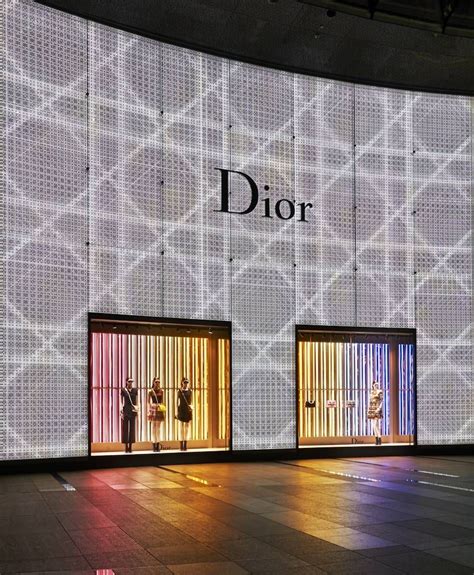 dior singapore online store|christian dior singapore outlet.